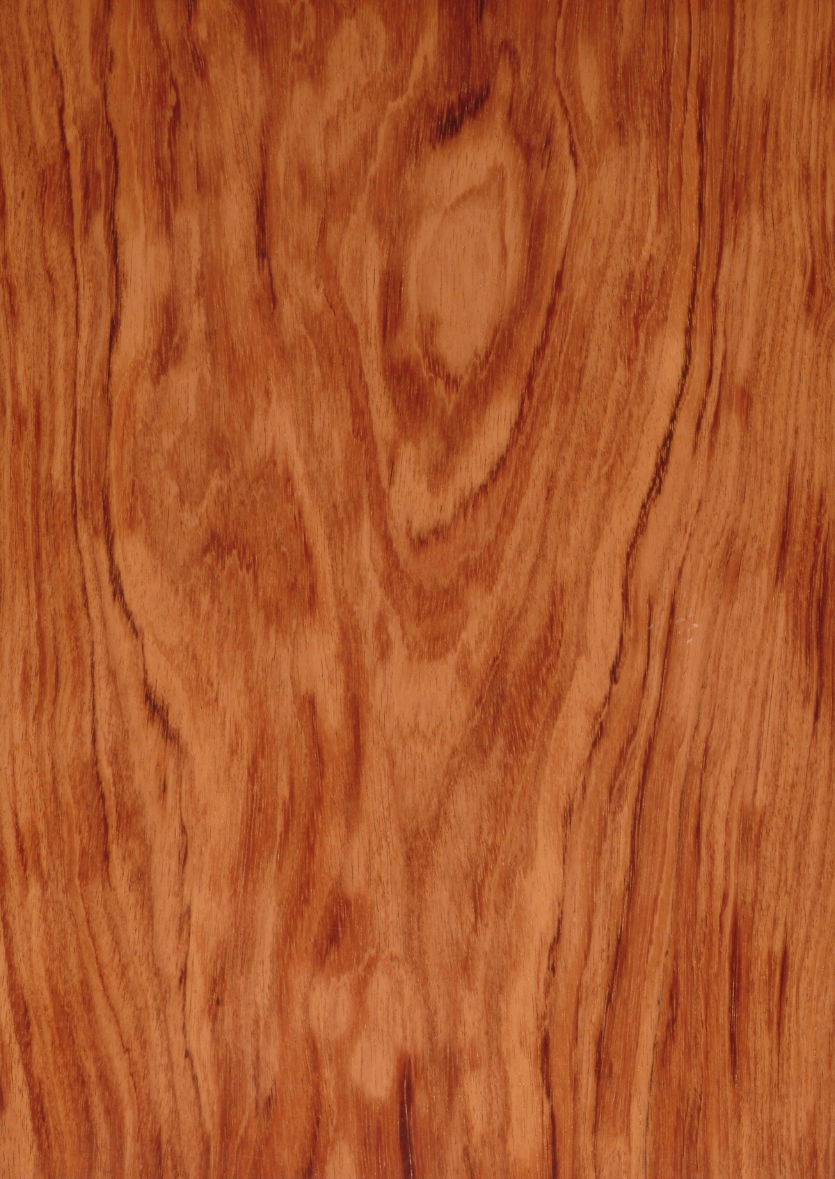 Bubinga Crown