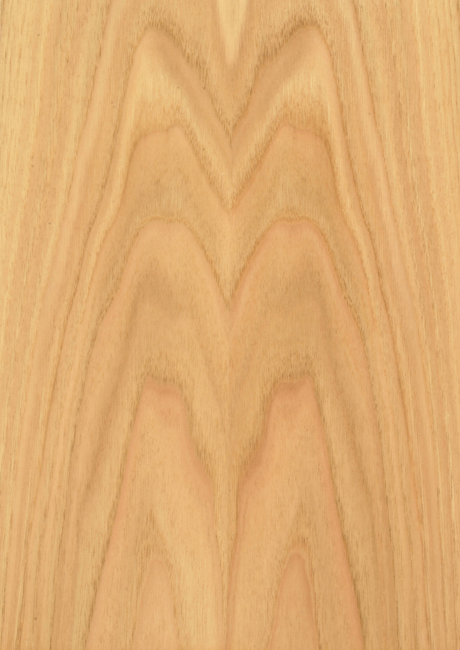 Chestnut Sweet Crown