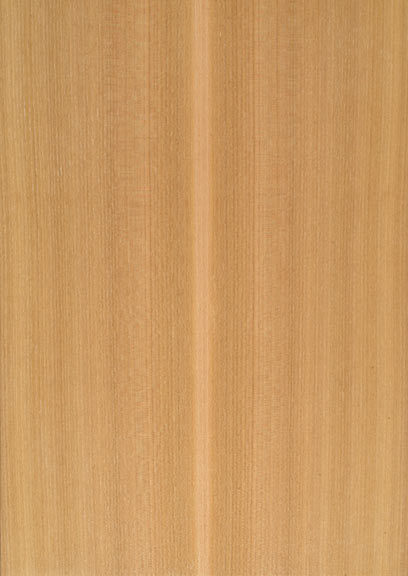 Elm American Red Quartered