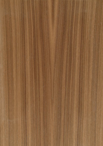 Walnut American Quartered