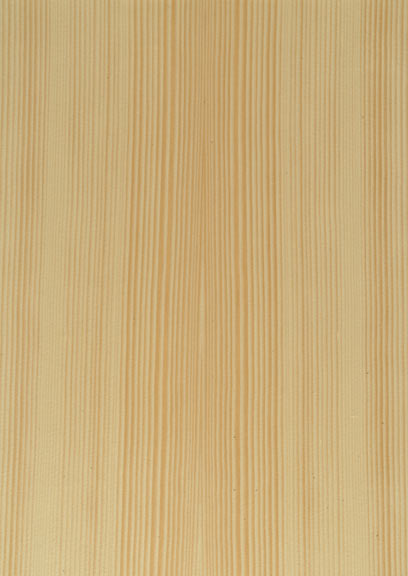 Spruce Quartered