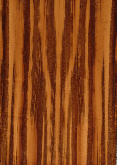 Goncalo Alves