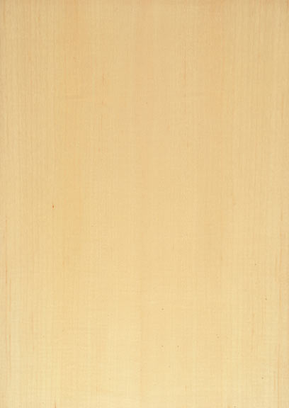 Maple Quartered