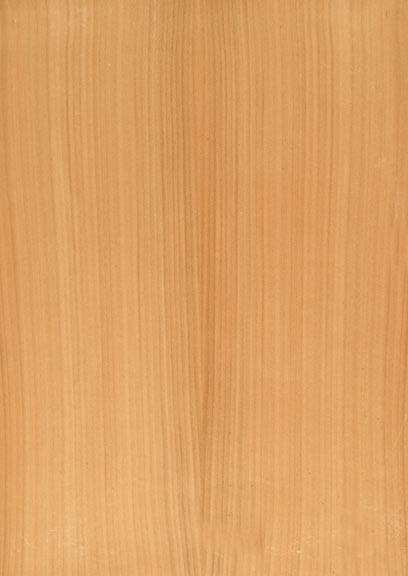 Cherry European Qaurtered
