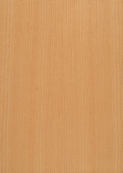 Beech Steamed Quartered