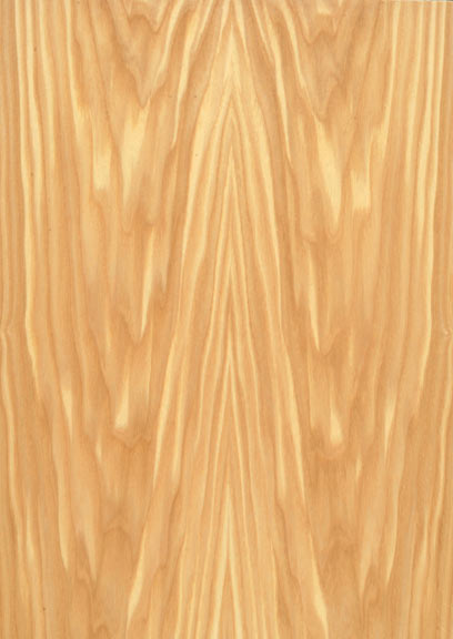 Olive Ash Crown