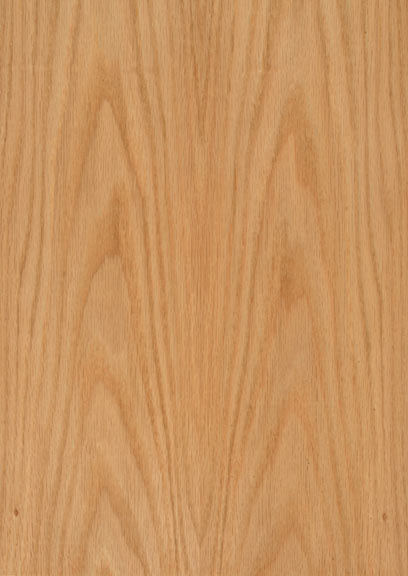 Oak American Red Crown
