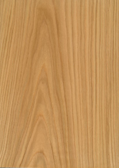 Oak American White Crown