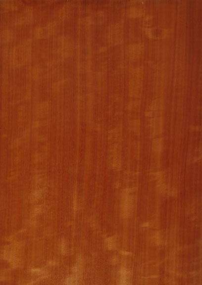 Makore Mottle Figured Quartered