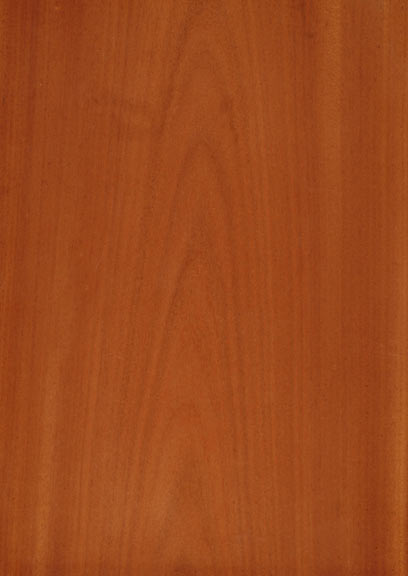 Sapele Crown
