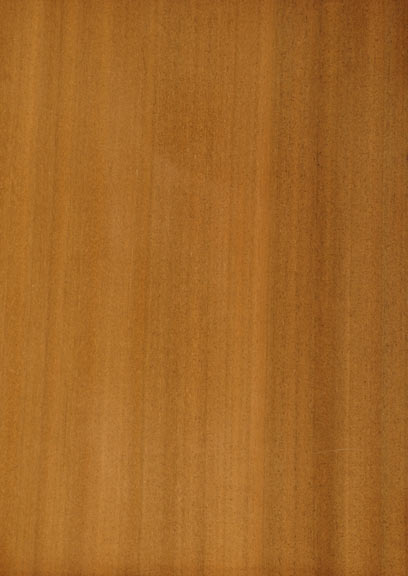 Walnut African Quartered
