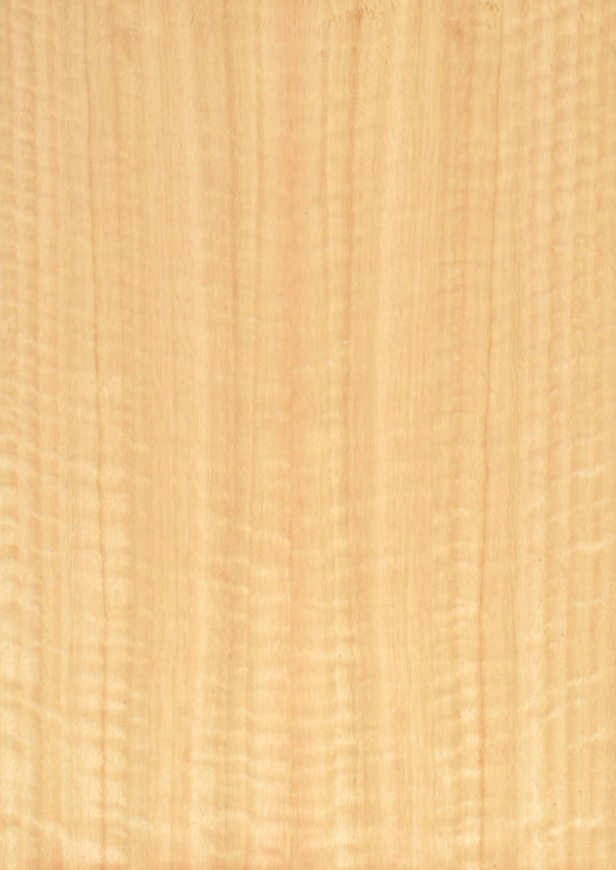 Eucalyptus Figured Block