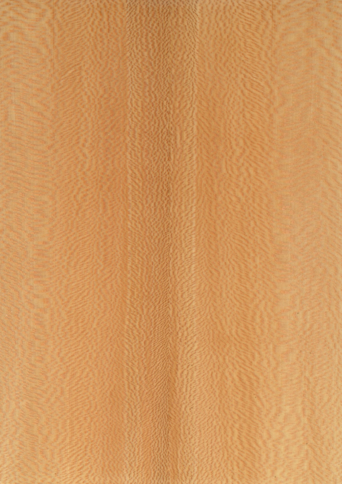 Lacewood (London Planetree)