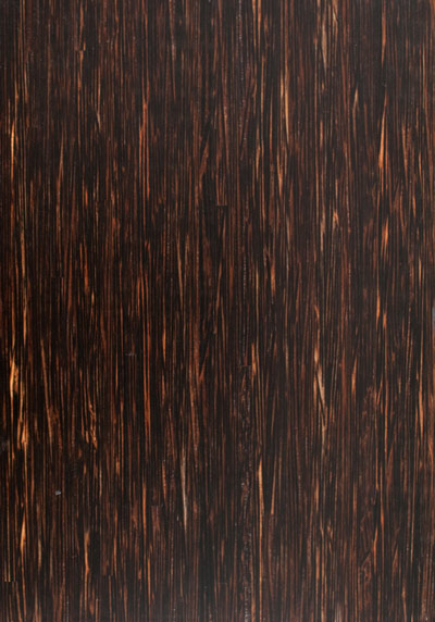 Palm Black