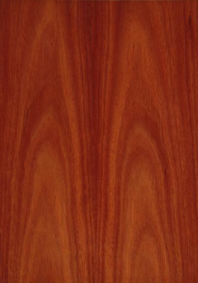 Jarrah Crown
