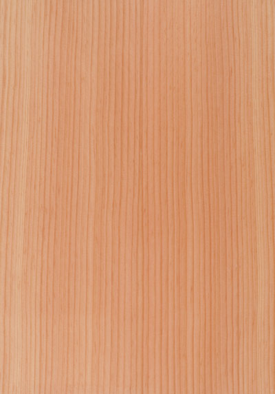 Douglas Fir Quartered