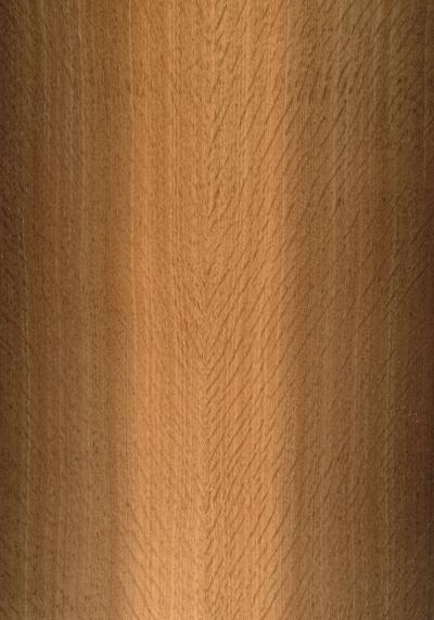 Oak Bog Quartered