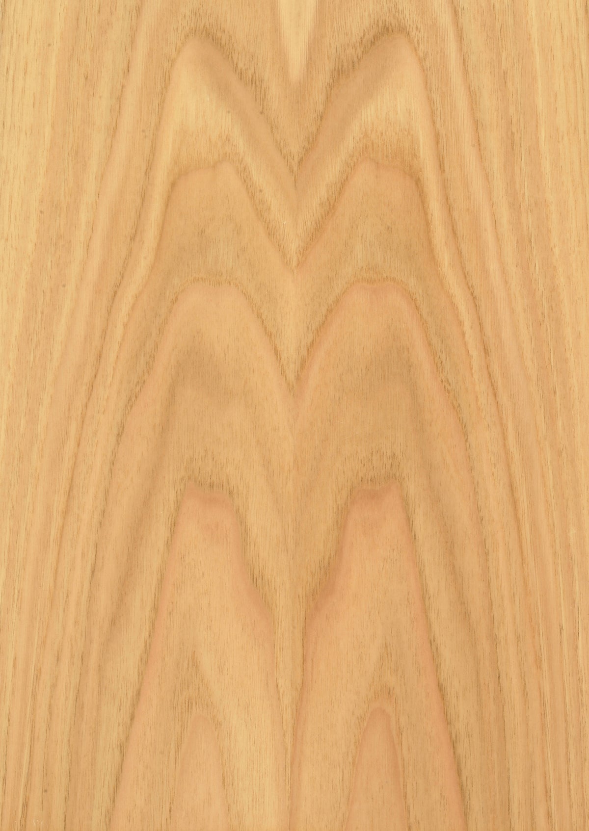 Chestnut Sweet Crown