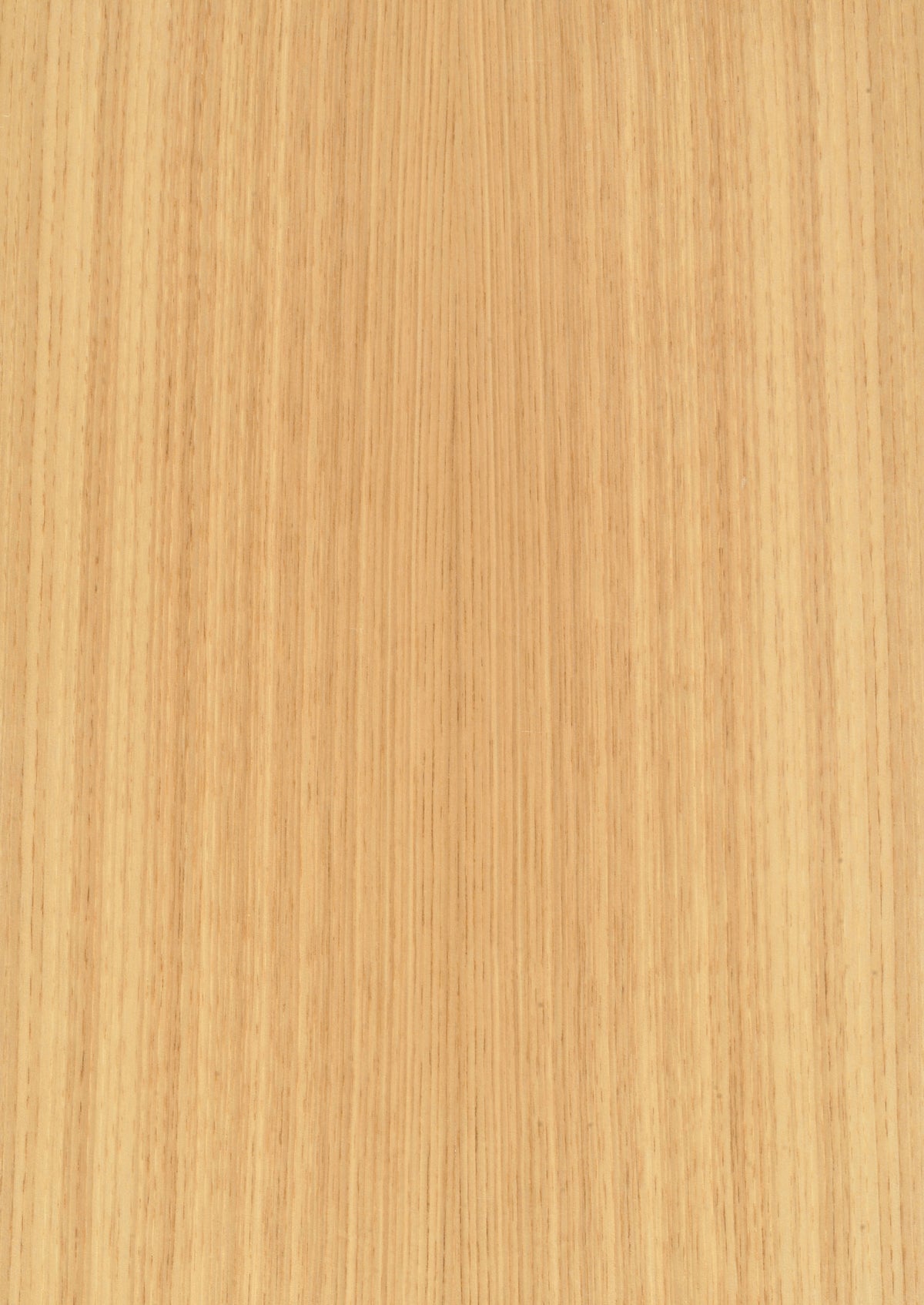 Chestnut Sweet Quartered