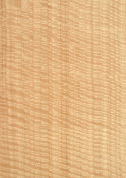 Eucalyptus Figured Fiddleback