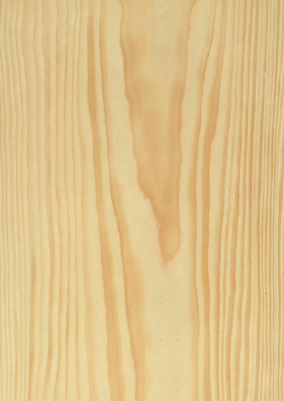 Spruce Crown