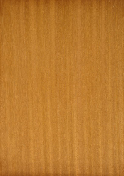 Iroko