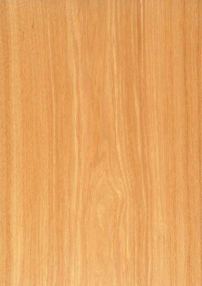 Hickory Crown