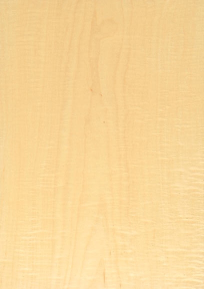 Maple Figured Crown