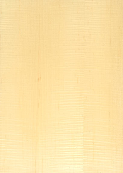 Maple Figured Quartered