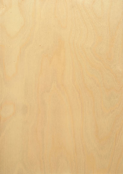 Birch Rotary Cut