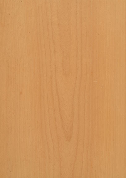 Beech Steamed Crown