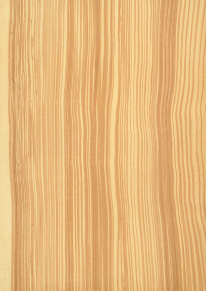 Olive Ash Quartered