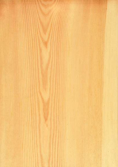 Pine European Crown