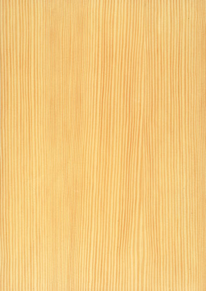 Pine Carolina Quartered