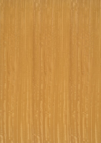 Satinwood Figured Quartered