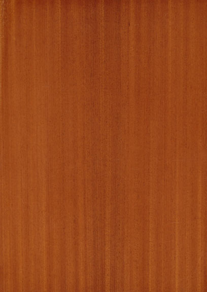 Sapele Quartered
