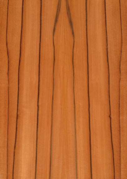 Tineo Quartered