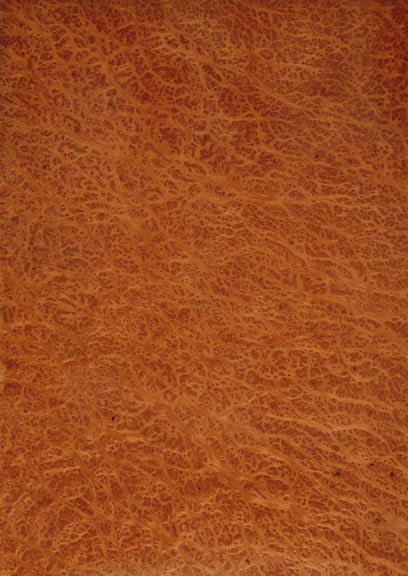 Vavona Burr