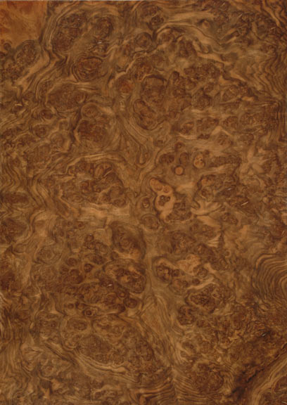 Walnut European Burr