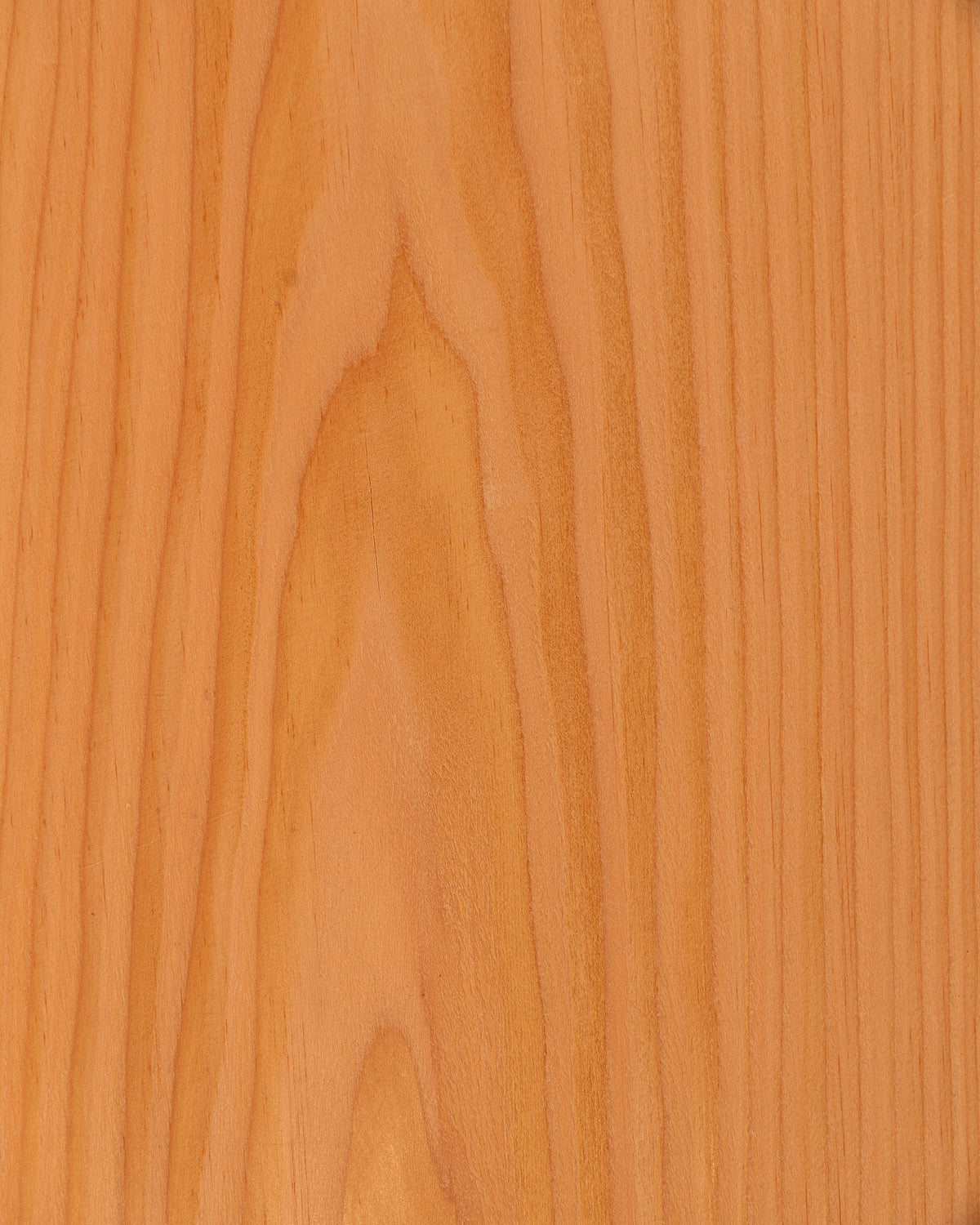 Douglas Fir Crown