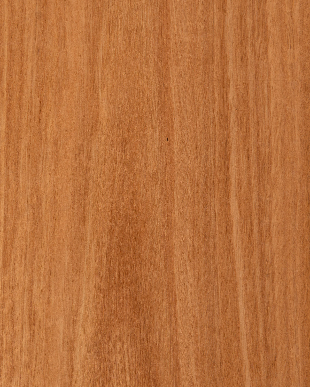 Eucalyptus Crown