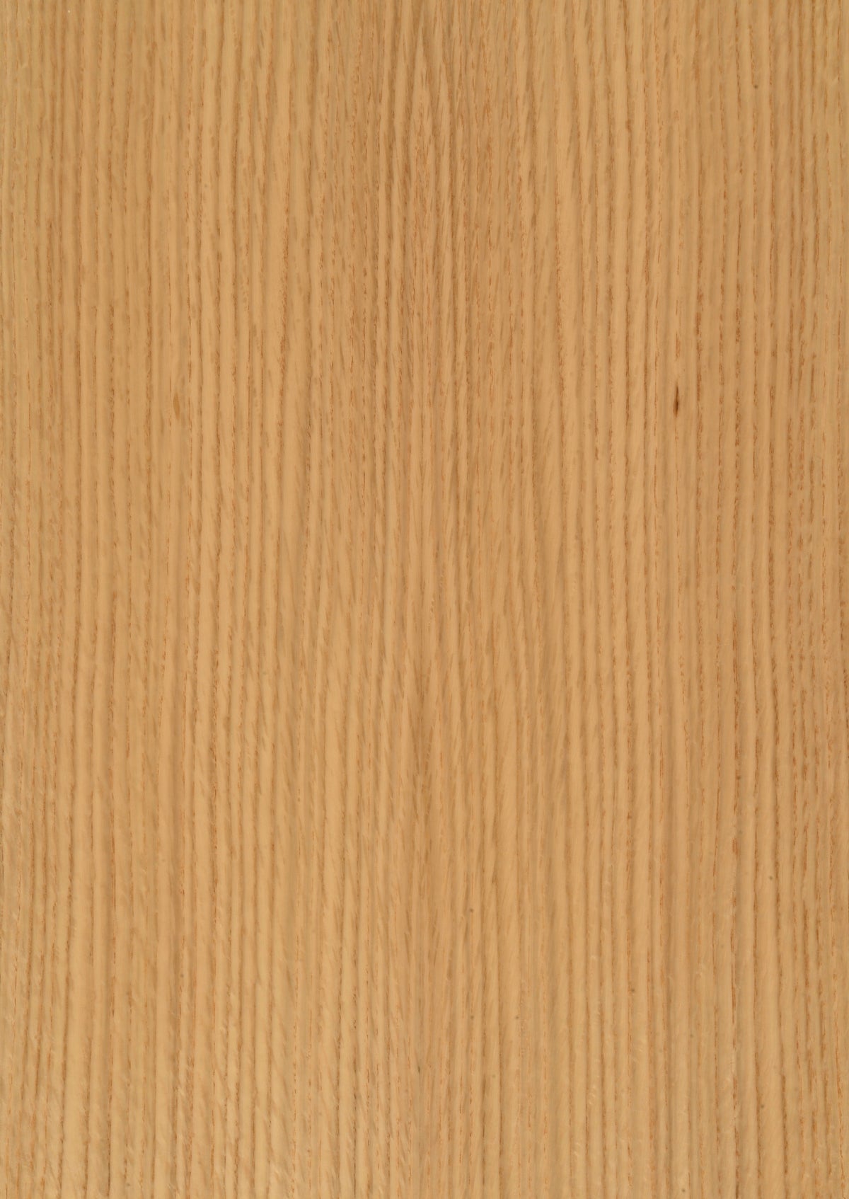 Oak American White Rift