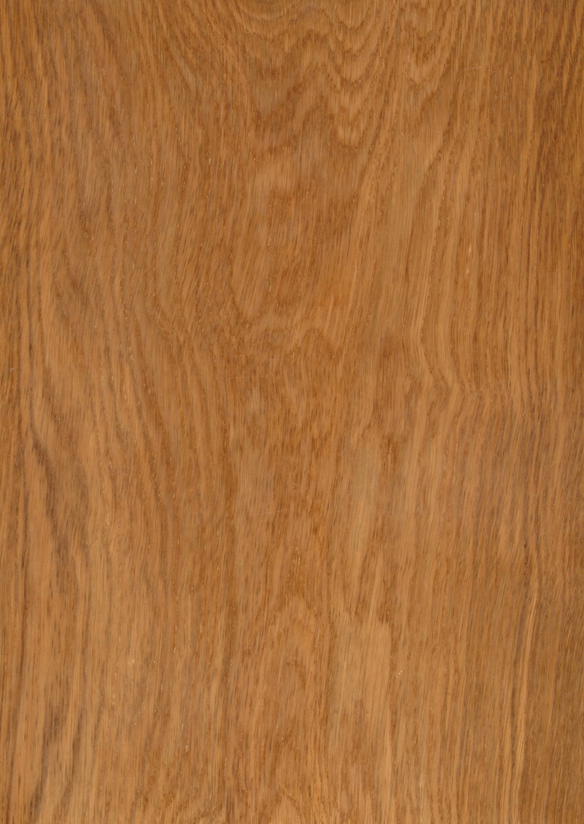 Oak Brown Crown