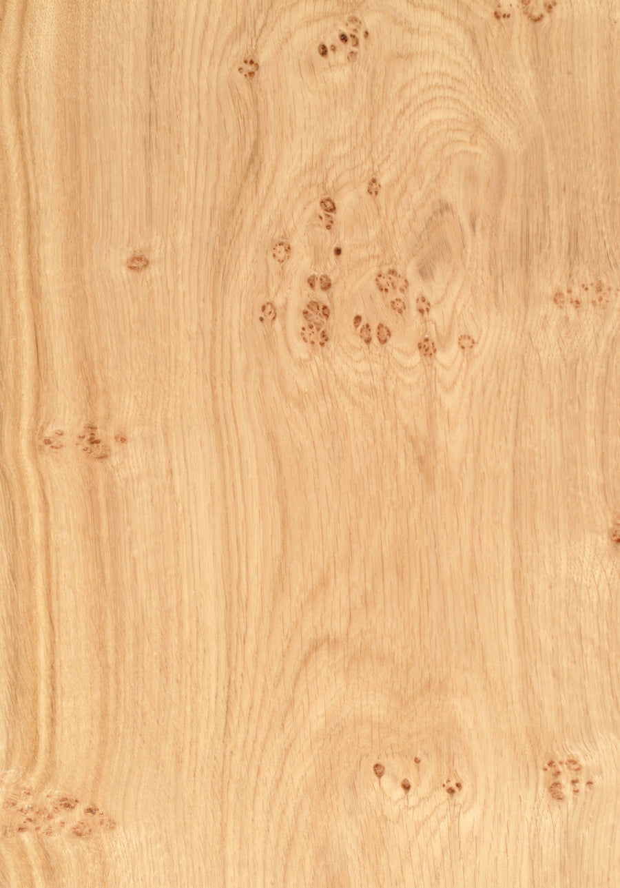 Oak Pippy