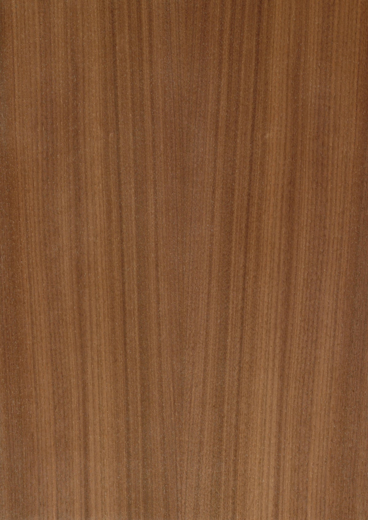 Walnut American Rift