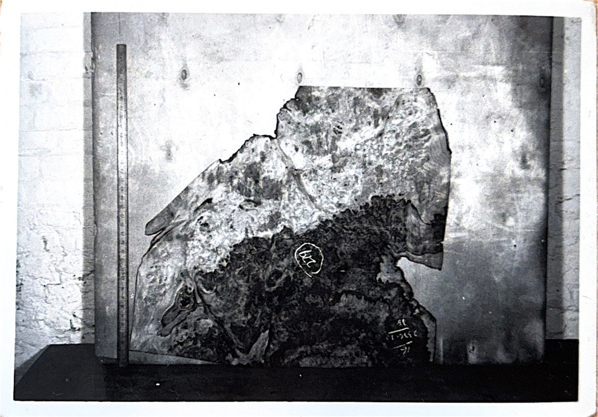 Black and white supplier photograph of figured wood, circa 1950s