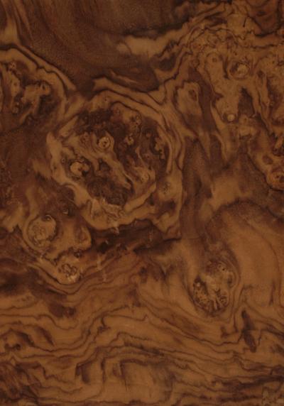 Walnut American Cluster