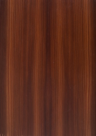 Larch Fumed Quartered