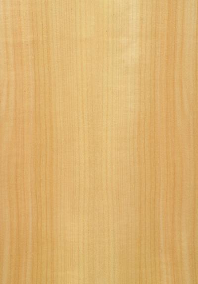 Aspen Quartered