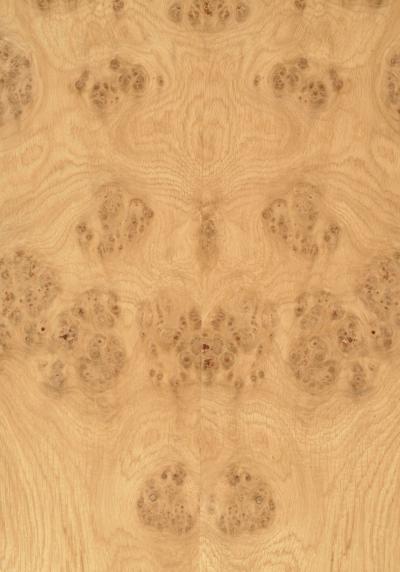 Oak Cluster